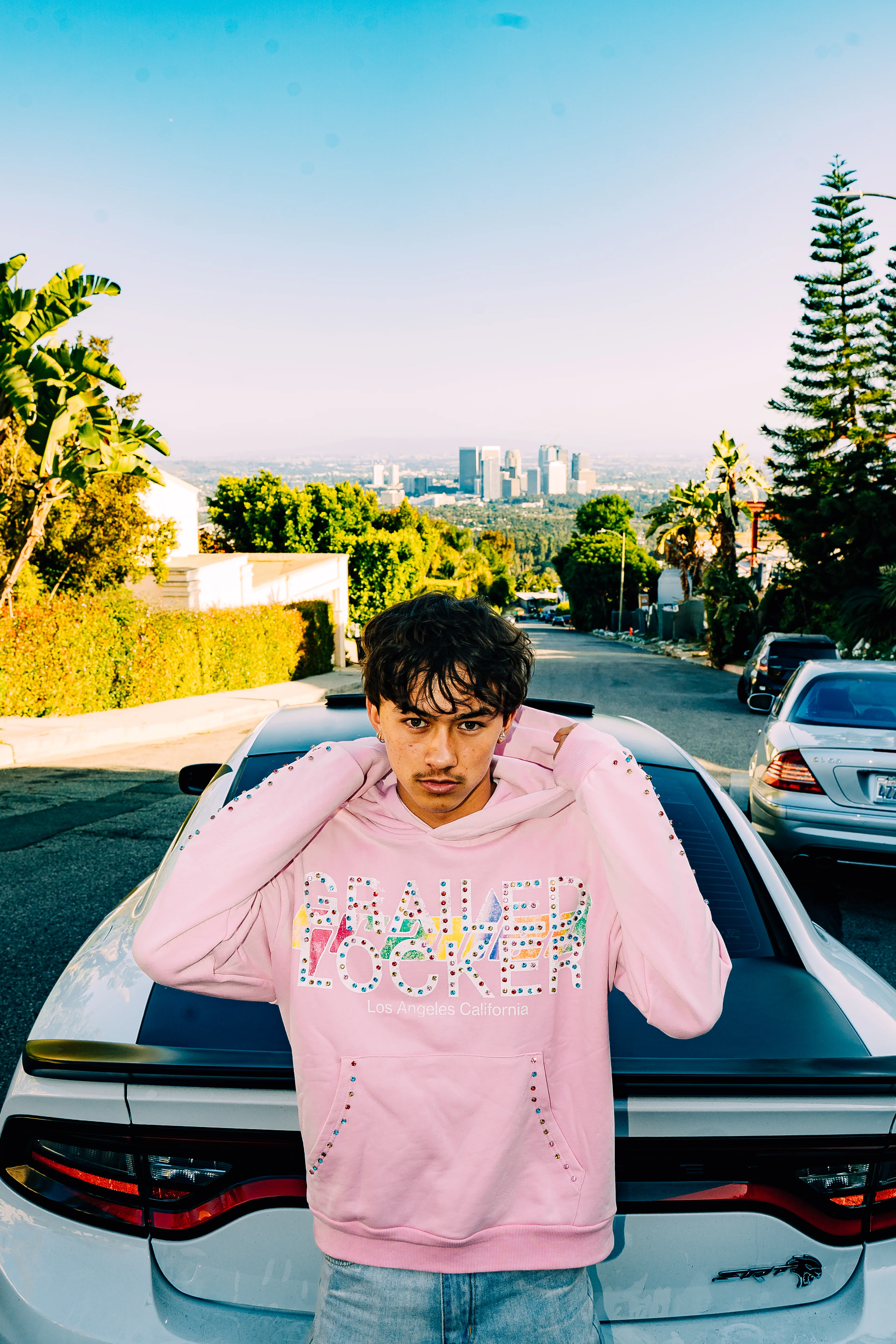 The Diamond Grail Hoodie — Black & Pink Editions - Image 16
